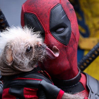 Ryan Reynolds and dog in Deadpool and Wolverine